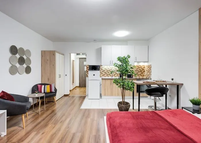 Homey New Great Area Apartamento *