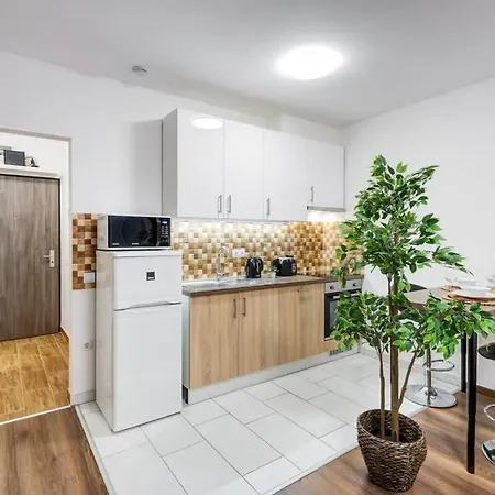 Homey New Great Area Apartament *