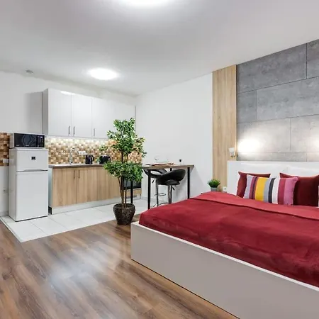 Homey New Great Area Apartmán